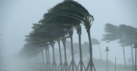 Irma Irma