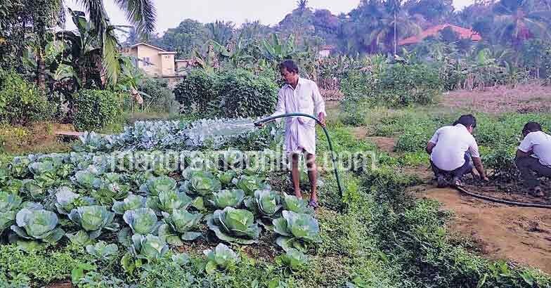 kunnumbron-rajan-farmer