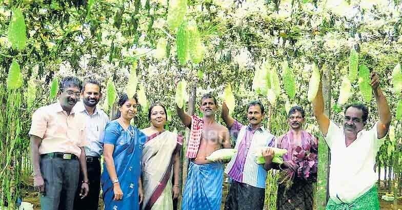 farmers-in-onakkoor