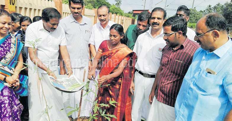 vegetable-cultivation-in-puthukad-railway-station
