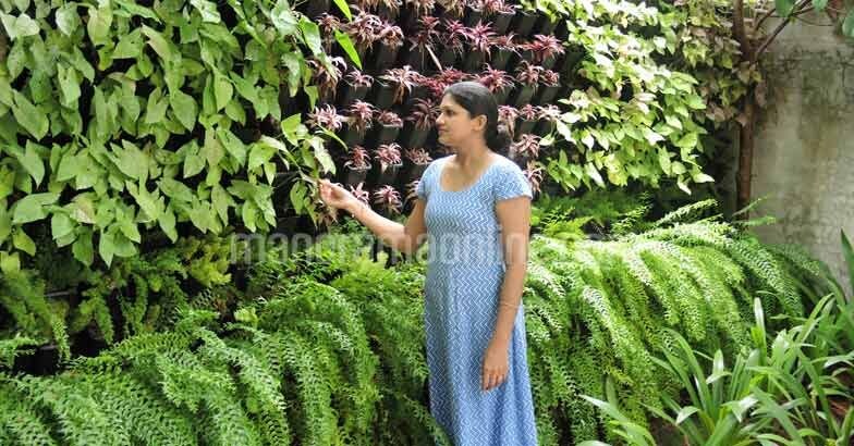 garden1