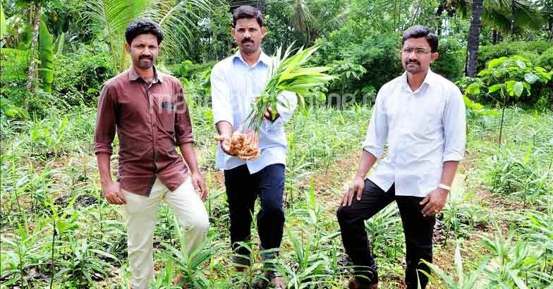 sony-soby-eby-in-ginfer-farm-gezo-foods
