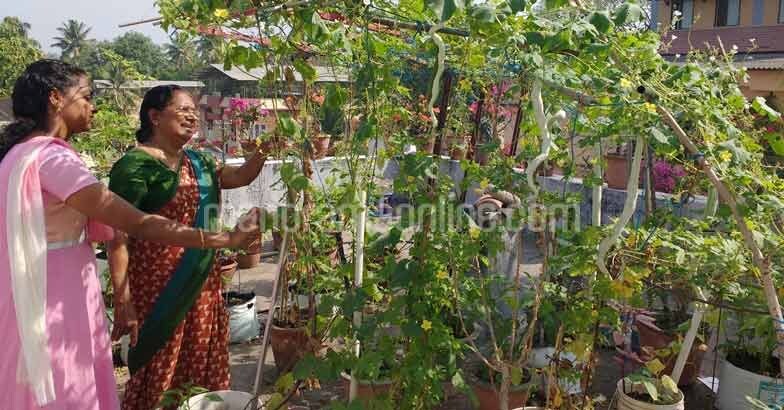 dr-radhabhai-on-terrace-kitchen-garden