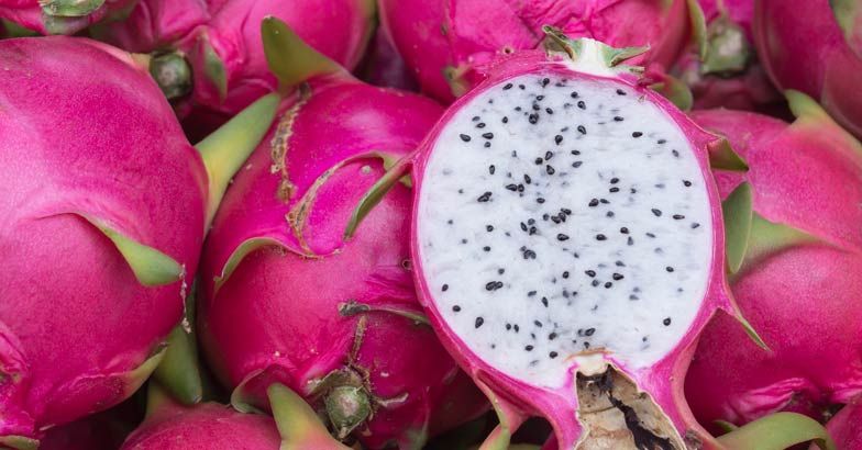 dragon-fruit-pitaya