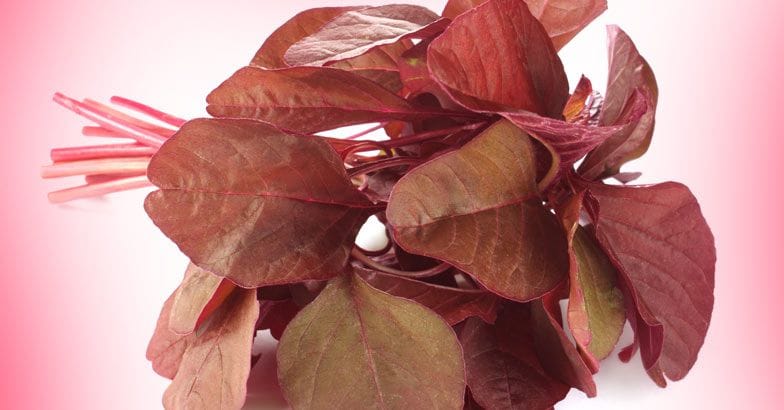 spinach-vegetable