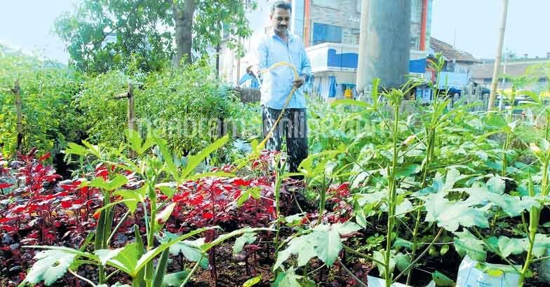 vegetable-farming-by-railway-police