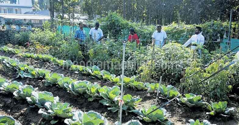 vegetable-cultivation-by-church