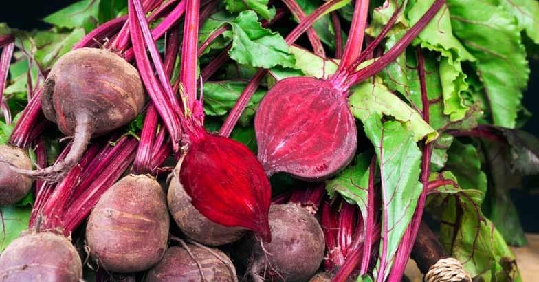 beetroot-vegetable
