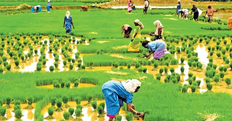 farmers