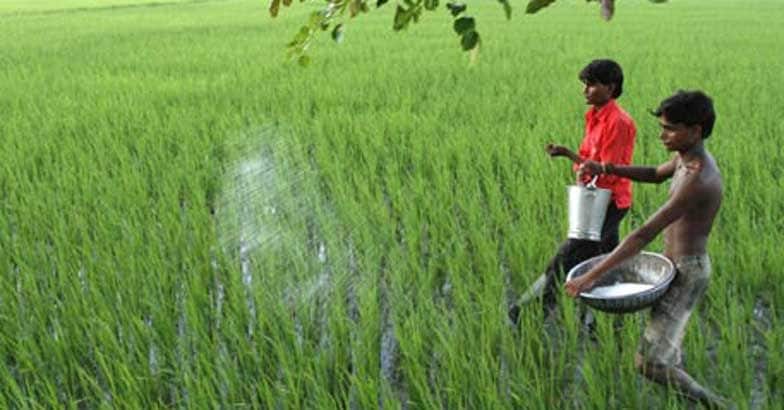 fertilizer