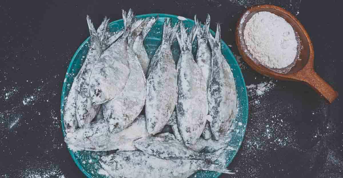fish and flour fish and flour