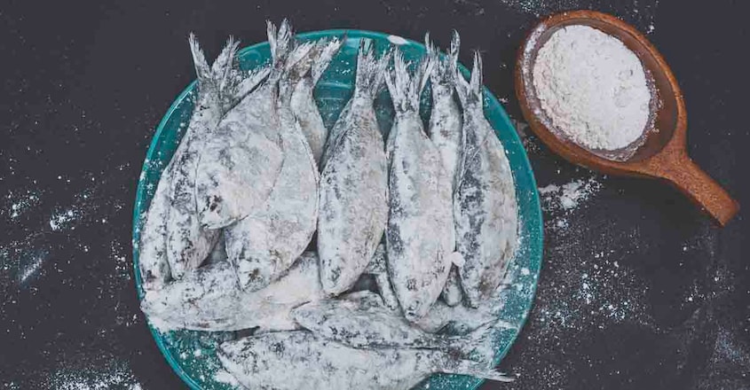 fish and flour fish and flour