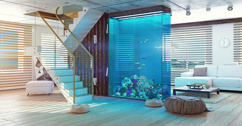 aquarium aquarium