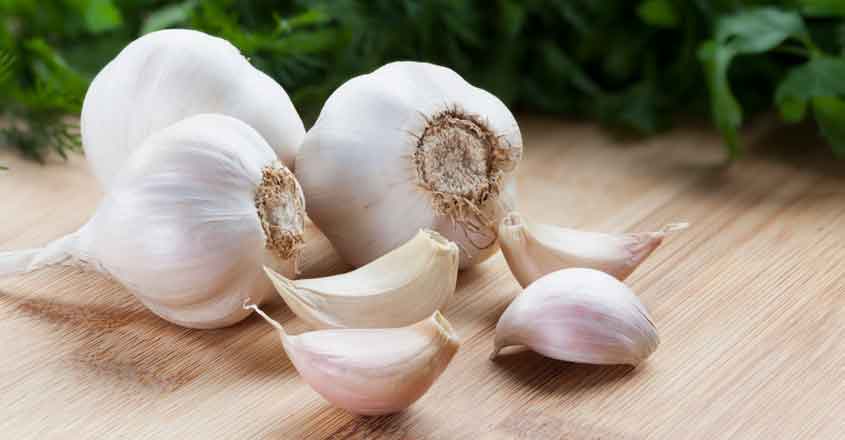 garlic for weight loss garlic for weight loss