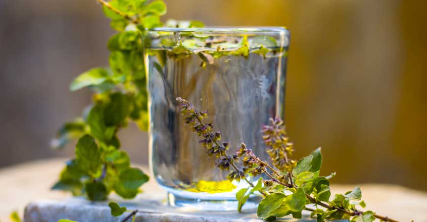 tulsi-water tulsi-water