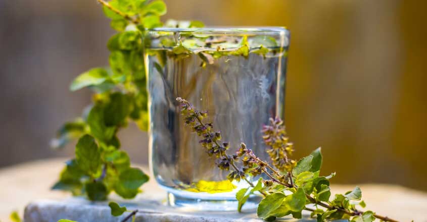tulsi-water tulsi-water