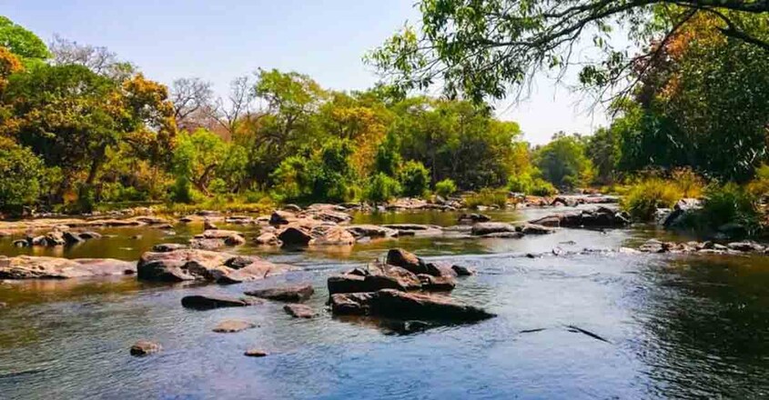 kuruva-wayanad kuruva-wayanad