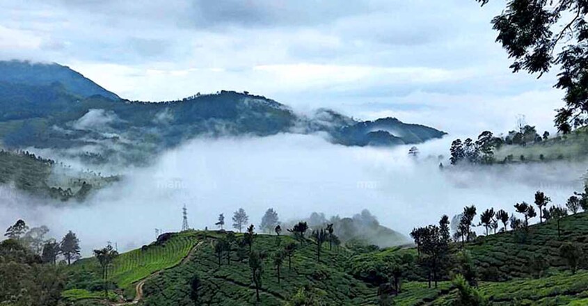 munnar-cold munnar-cold
