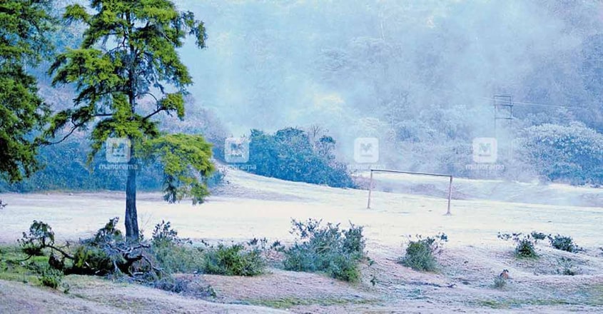 Severe cold blankets Munnar with frost Severe cold blankets Munnar with frost