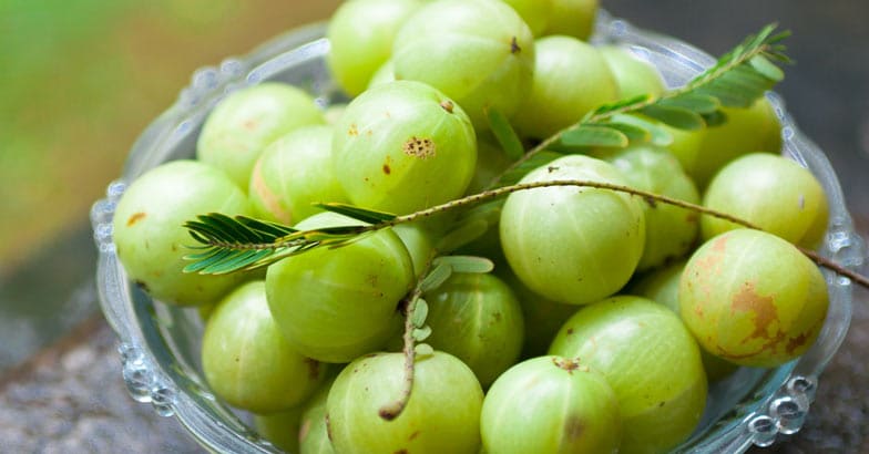 Gooseberry Gooseberry