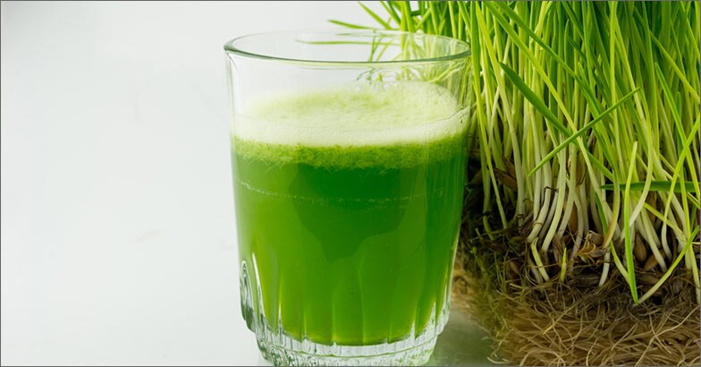 Wheat grass juice Wheat grass juice