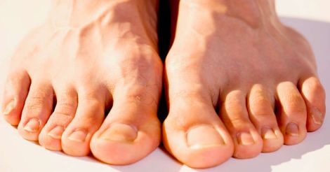 foot foot