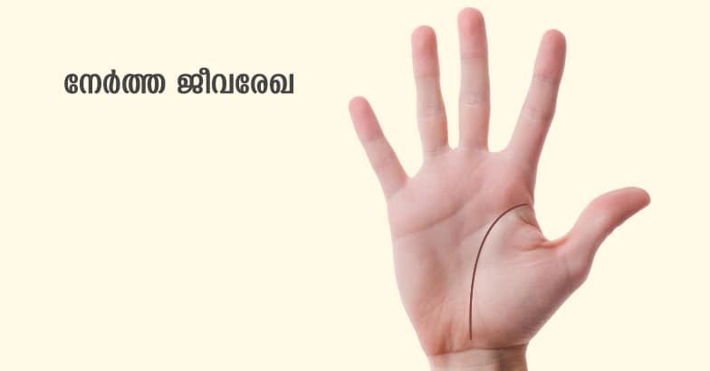 hand-rekha-2 hand-rekha-2