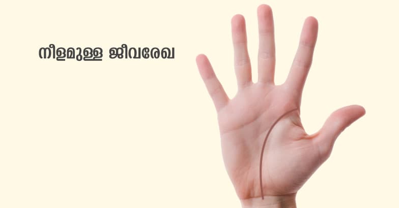 hand-rekha-6 hand-rekha-6