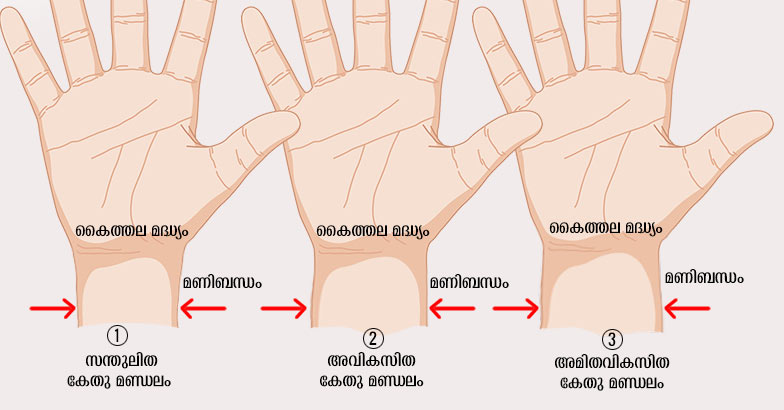 palmistry-kethu-new palmistry-kethu-new
