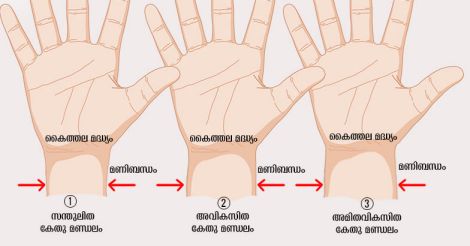palmistry-kethu-new palmistry-kethu-new