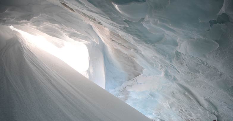Arctic Arctic