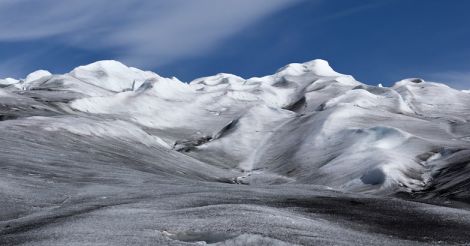 Artic Artic