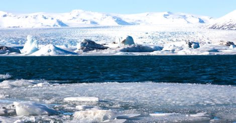 artic artic
