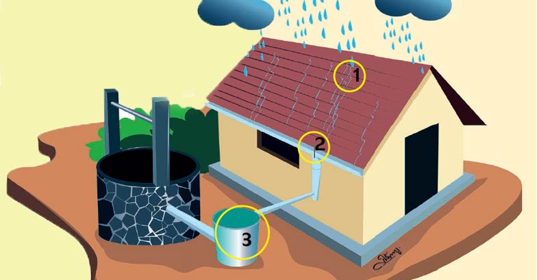 rainwater rainwater