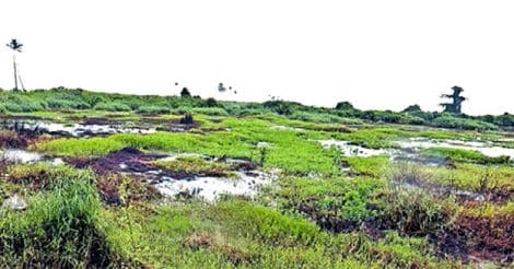  Chithira Kayal Pond