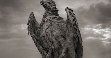 Deadly Lake Natron Turns Animals Into Ghostly 'Statues'