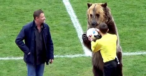 Performing bear at Russian match