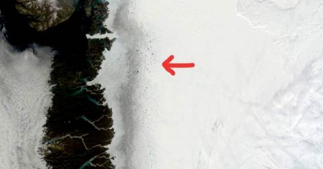 the darkish zone of the Greenland ice sheet