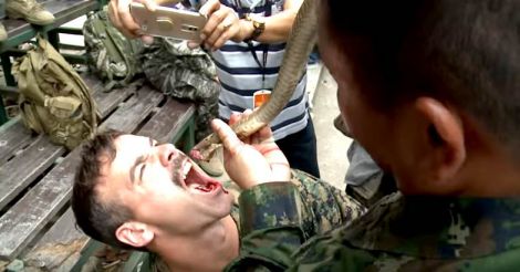 Troops Swallow Snake Blood