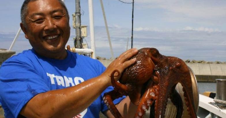 ഇനി ജപ്പാനിൽ റബിയോ നീരാളി പ്രവചിക്കില്ല | Japan's World Cup Octopus ...