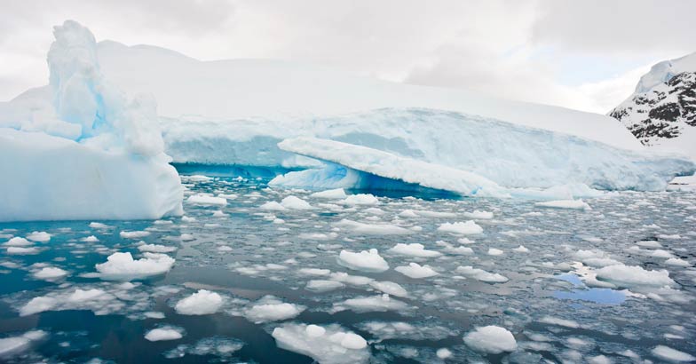 Antarctica Antarctica