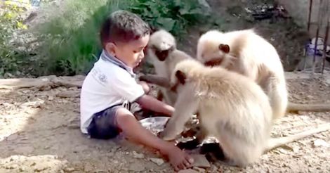  Adorable toddler with Monkey