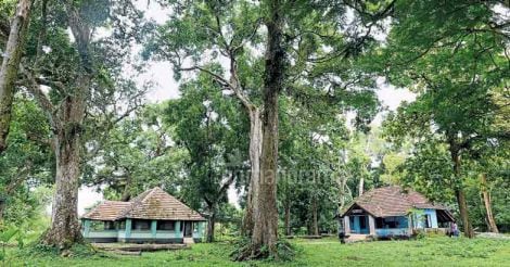 Veeyupuram forest Veeyupuram forest