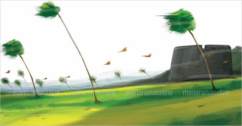 wind wind
