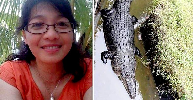 Indonesian scientist killed and eaten by large crocodile Indonesian scientist killed and eaten by large crocodile