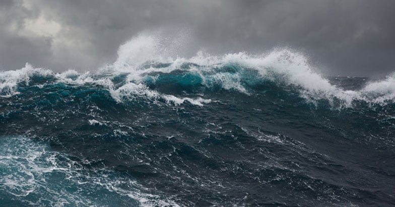 wave wave