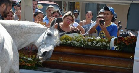 Horse Saying Goodbye To Best Friend At His Funeral