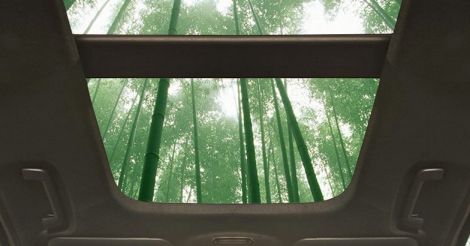 ford-bamboo-car