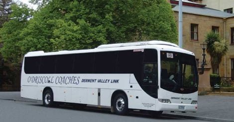 Mercedes School Charter Bus