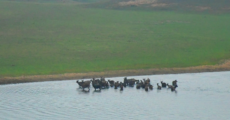 ktdc-lake-palace-thekkady-view ktdc-lake-palace-thekkady-view